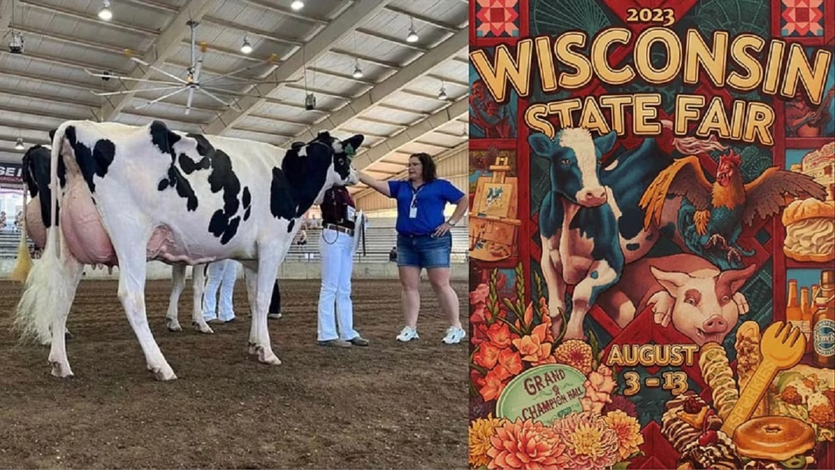 Wisconsin state fair cow name, after racial slur sparks state fair outrage 2023 - networth, wiki, biography