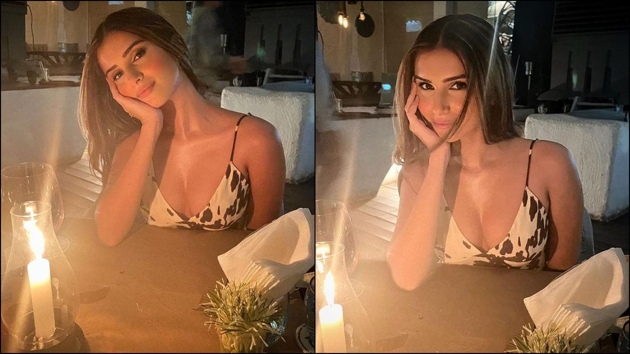 Amid breakup news with Ginger Jain, who did Tara Sutaria go to candlelight dinner with? Share photos 2023 - networth, wiki, biography