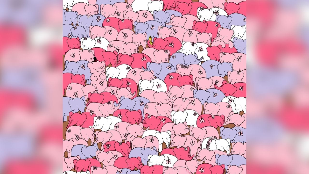 Optical Illusion: Find the hidden heart, the picture will expand the chemical in the brain! 2023 - networth, wiki, biography