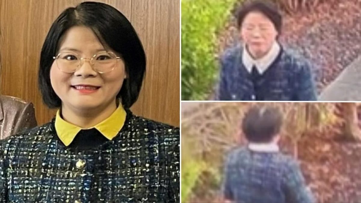 Yanfei Bao Kids and Husband: Meet Her Daughter And Family 2023 - networth, wiki, biography