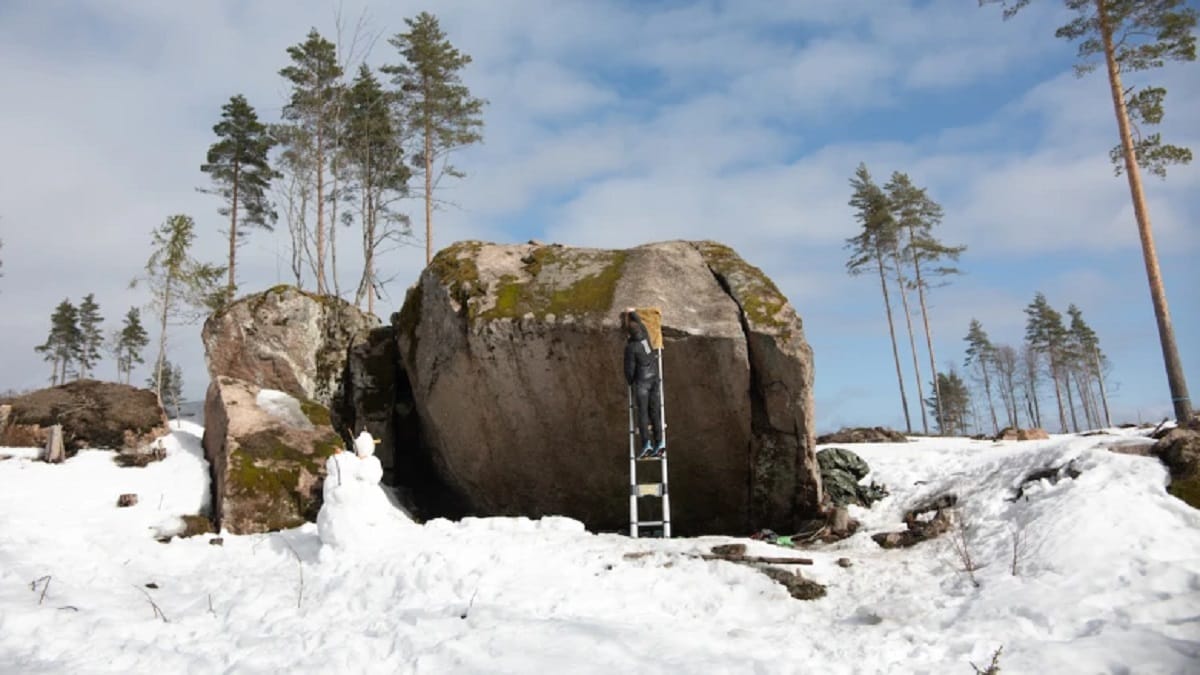 Will Bosi Burden Of Dreams: First Repeat of Burden of Dreams 9A 2023 - networth, wiki, biography