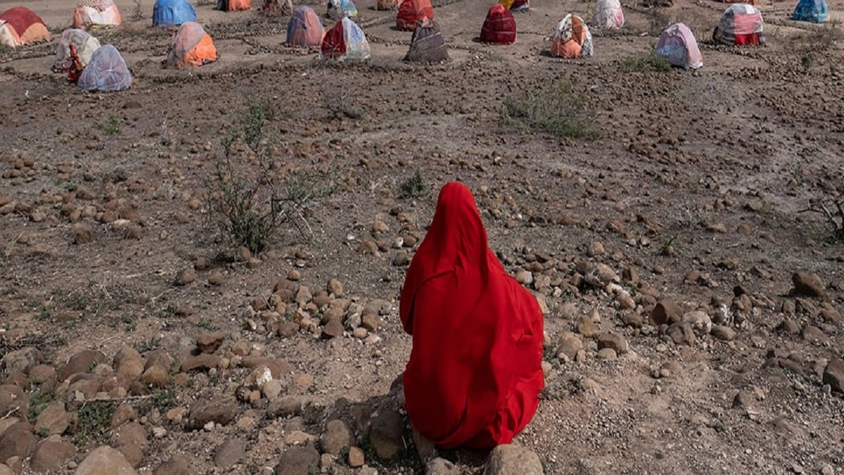 World Press Photo Exhibition Auckland: Ticket Information, Dates, and, more 2023 - networth, wiki, biography