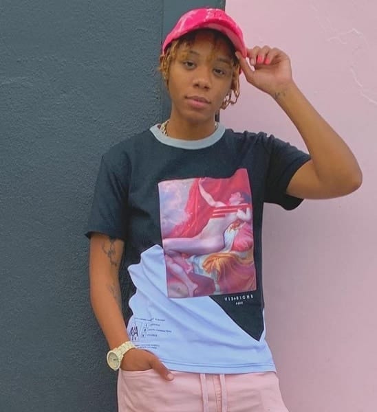 NextYoungin: Wiki, Bio, Age, Career, Height, Net Worth 2023 - networth, wiki, biography