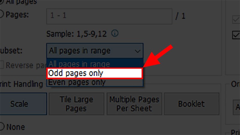 Cách in trang chẵn lẻ trong PDF, Word cực đơn giản, chi tiết nhất