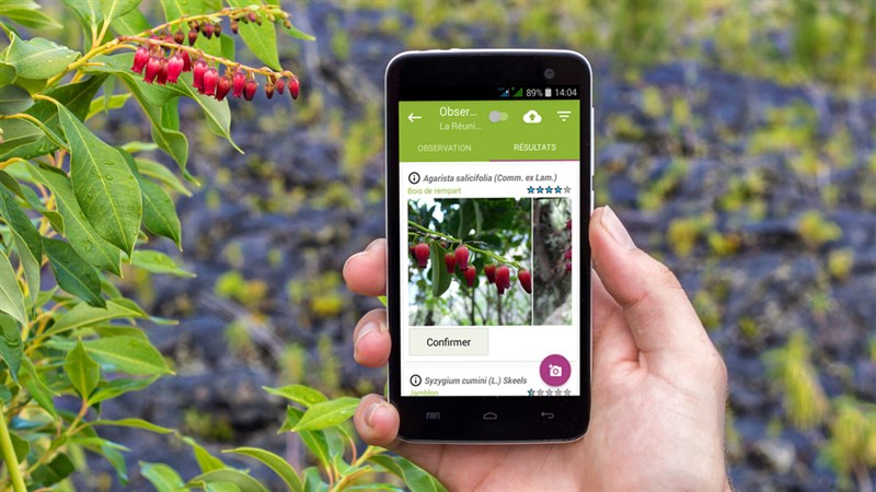 Cách nhận biết các loài cây, loài hoa, loài chim bằng cách chụp ảnh cực đơn giản | Khóa học lập trình cho trẻ em | lập trình game | lập trình web | lập trình scratch | lập trình python