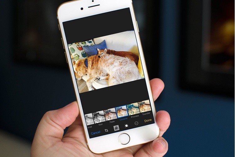 Cách Xóa Filter Trên Ảnh Đã Chụp Instagram, Iphone, Android Dễ 2023 | Khóa học lập trình cho trẻ em | lập trình game | lập trình web | lập trình scratch | lập trình python