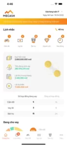 mecash