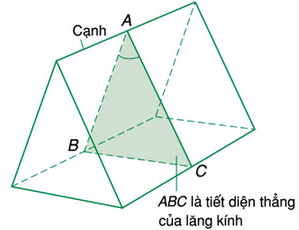 Vật lý 11 bài 28: Lăng kính là gì? Các Công thức lăng kính, Ứng dụng của lăng kính và Bài tập vận dụng		 2023 | Khóa học lập trình cho trẻ em | lập trình game | lập trình web | lập trình scratch | lập trình python