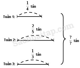 Giải bài 1, 2, 3 trang 36 Vở bài tập Toán 4 tập 2		 2023 | Khóa học lập trình cho trẻ em | lập trình game | lập trình web | lập trình scratch | lập trình python