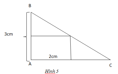 Giải bài 45, 46, 47, 48, 49 trang 31, 32 SGK toán 8 tập 2		 2023 | Khóa học lập trình cho trẻ em | lập trình game | lập trình web | lập trình scratch | lập trình python
