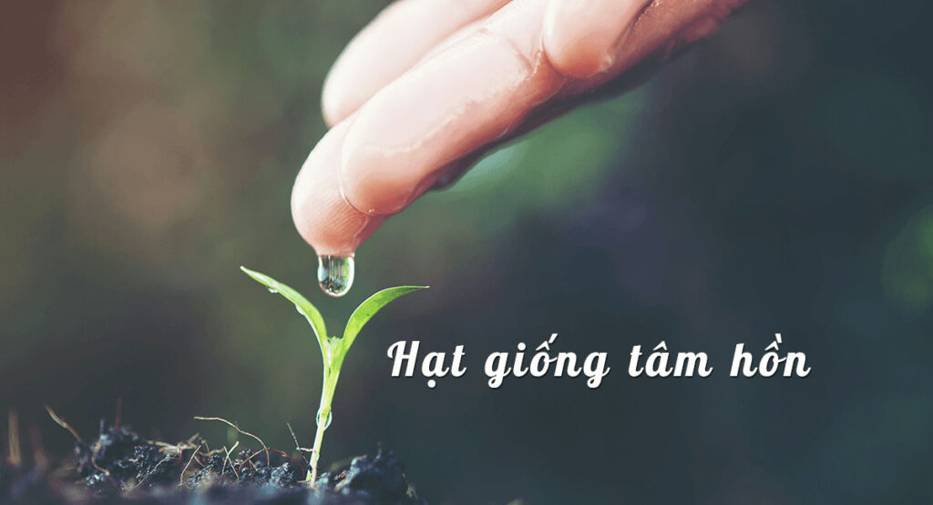 11 Đề đọc hiểu Hạt giống tâm hồn có đáp án chi tiết		 2023 | Khóa học lập trình cho trẻ em | lập trình game | lập trình web | lập trình scratch | lập trình python