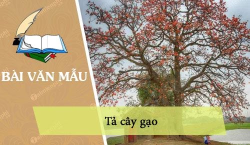 Tả cây gạo		 2023 | Khóa học lập trình cho trẻ em | lập trình game | lập trình web | lập trình scratch | lập trình python