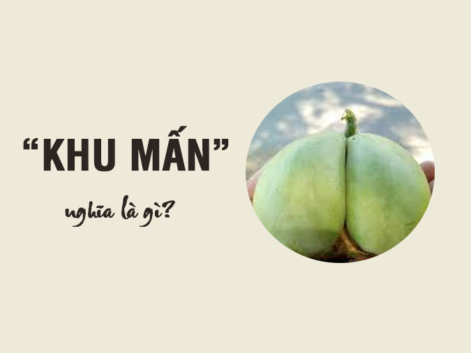 Khu mấn là gì? Quả khu mấn là gì?		 2023 | Khóa học lập trình cho trẻ em | lập trình game | lập trình web | lập trình scratch | lập trình python