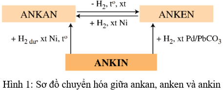 Hóa học 11 Bài 33: Luyện tập: Ankin – Giải bài tập SGK Hóa học 11 Bài 33		 2023 | Khóa học lập trình cho trẻ em | lập trình game | lập trình web | lập trình scratch | lập trình python