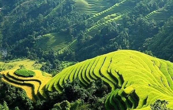 Phân tích 8 câu thơ đầu bài Việt Bắc để chứng minh nhận định…		 2023 | Khóa học lập trình cho trẻ em | lập trình game | lập trình web | lập trình scratch | lập trình python