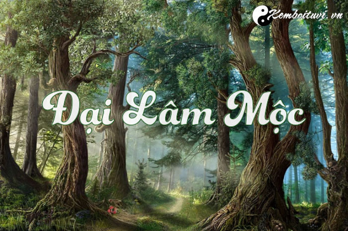 Mệnh Đại Lâm Mộc có nghĩa là gì? Sinh năm bao nhiêu?		 2023 | Khóa học lập trình cho trẻ em | lập trình game | lập trình web | lập trình scratch | lập trình python